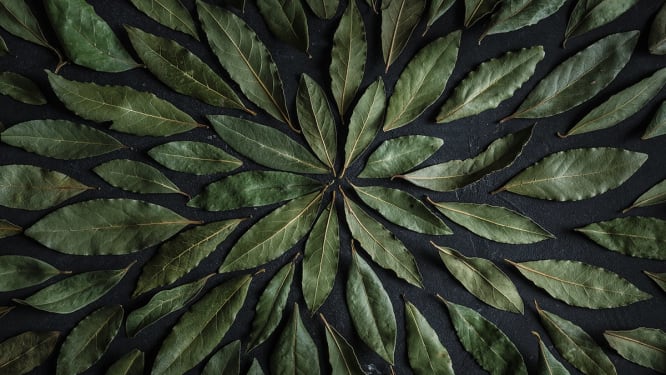 Bedriftshjørnet – for våre proffkunder