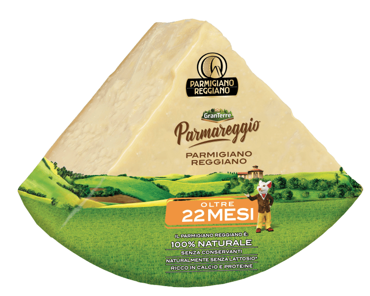 Parmigiano Reggiano 22+ DOP ca 4,5 kg