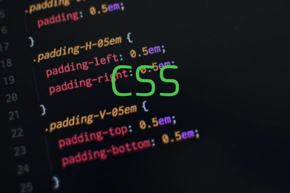 CSS CSS