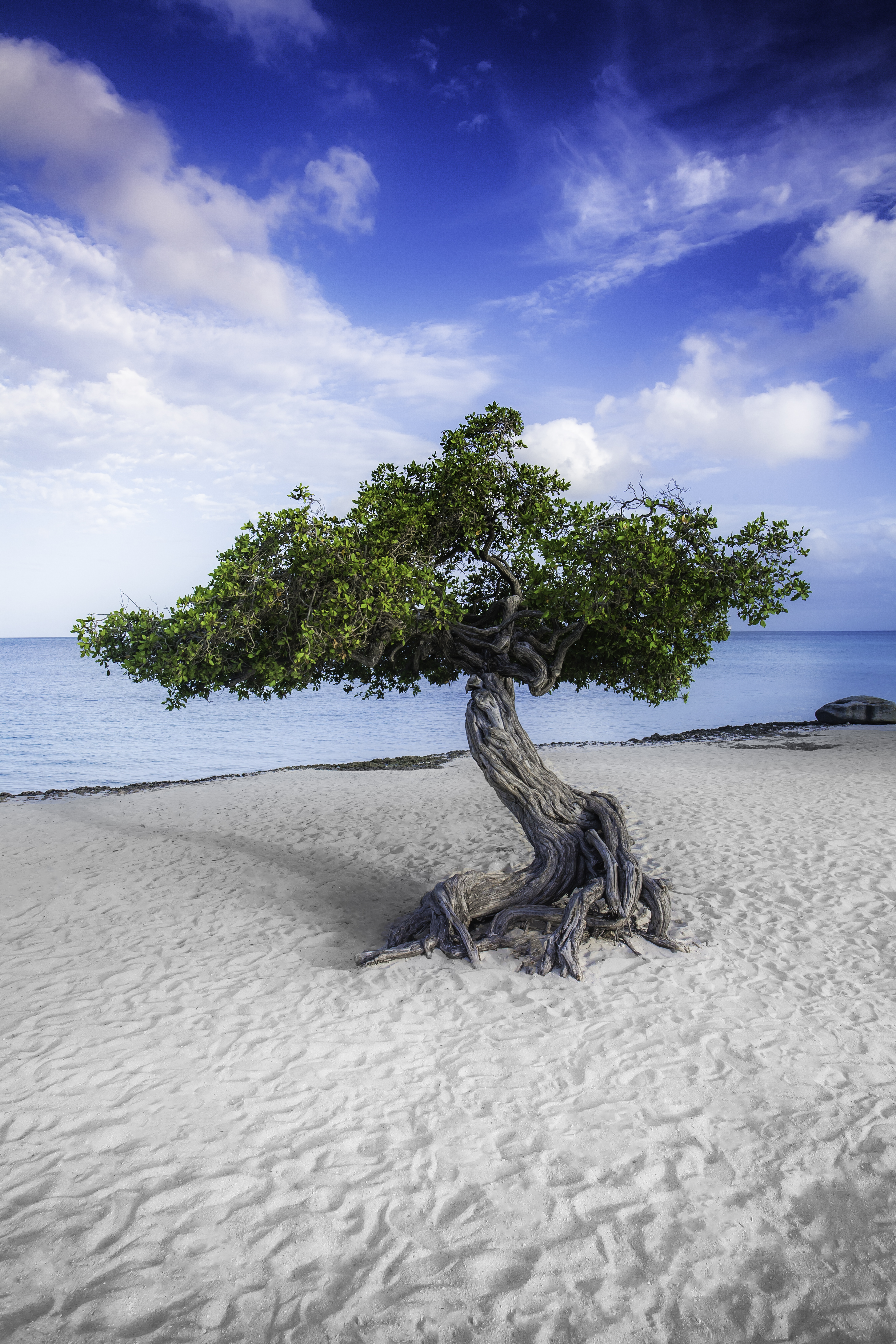 Aruba