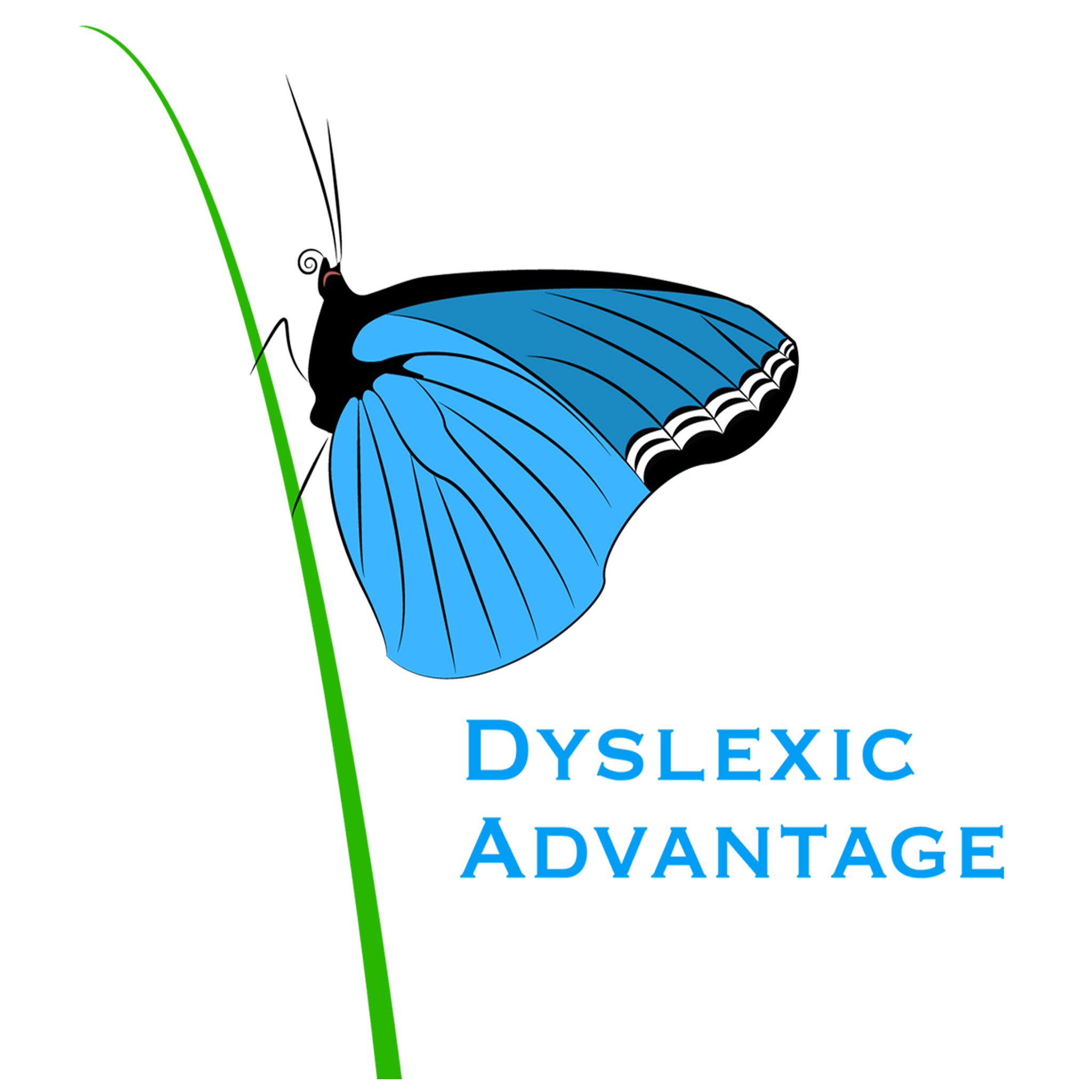 Dyslexia Advantage Donation Donation