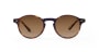 TYPE Garamond Light-Tortoise Sunglasses [ラウンド]  小 0