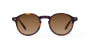 TYPE Garamond Regular-Tortoise Sunglasses [ラウンド]  小 0