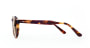 TYPE Garamond Bold-Tortoise Sunglasses [ラウンド]  小 1