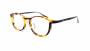 RAMOT EYEWORKS RM-007-24 [鯖江産/ウェリントン/べっ甲柄]  小 1