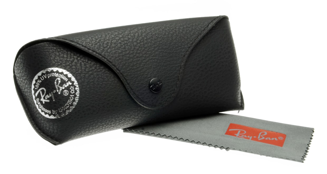 レイバン RB4216-6173/11-56 [フォックス]  5