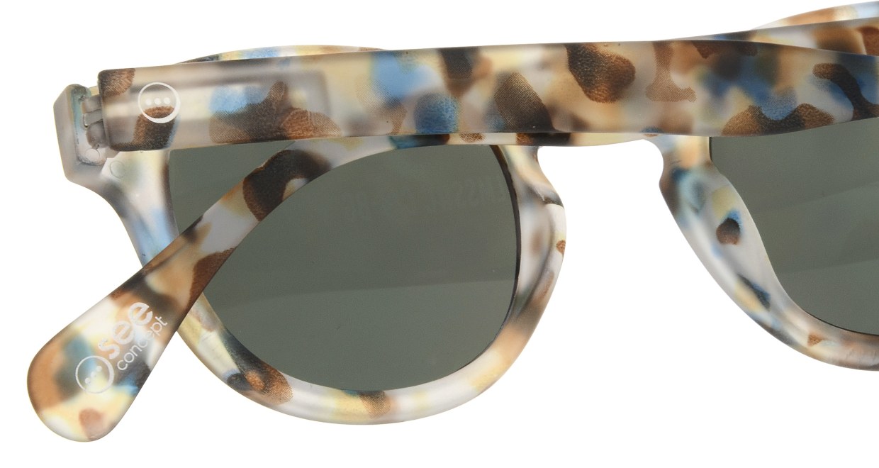 イジピジ サングラス #C-SUN BLUE TORTOISE [ウェリントン]  4