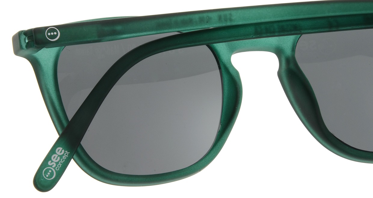 イジピジ サングラス #E-SUN GREEN [ウェリントン]  4