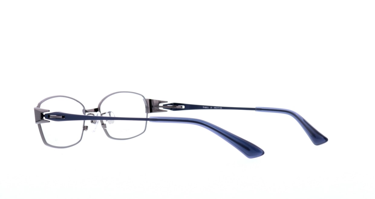 アミパリ TR-8612-25-54 [メタル/鯖江産/スクエア/シルバー]  3