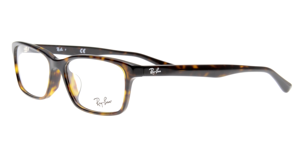 レイバン RX5318D-2012-55 [スクエア/べっ甲柄]  1