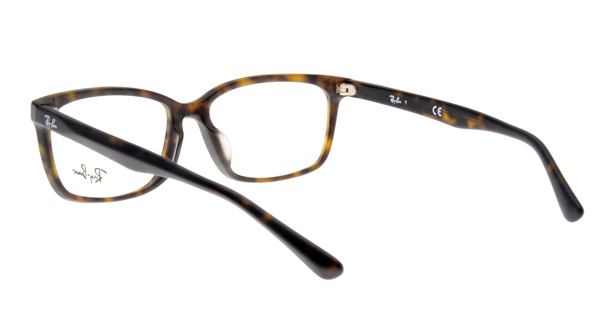 レイバン RX5319D-5211ｰ55 [ウェリントン/べっ甲柄]  3