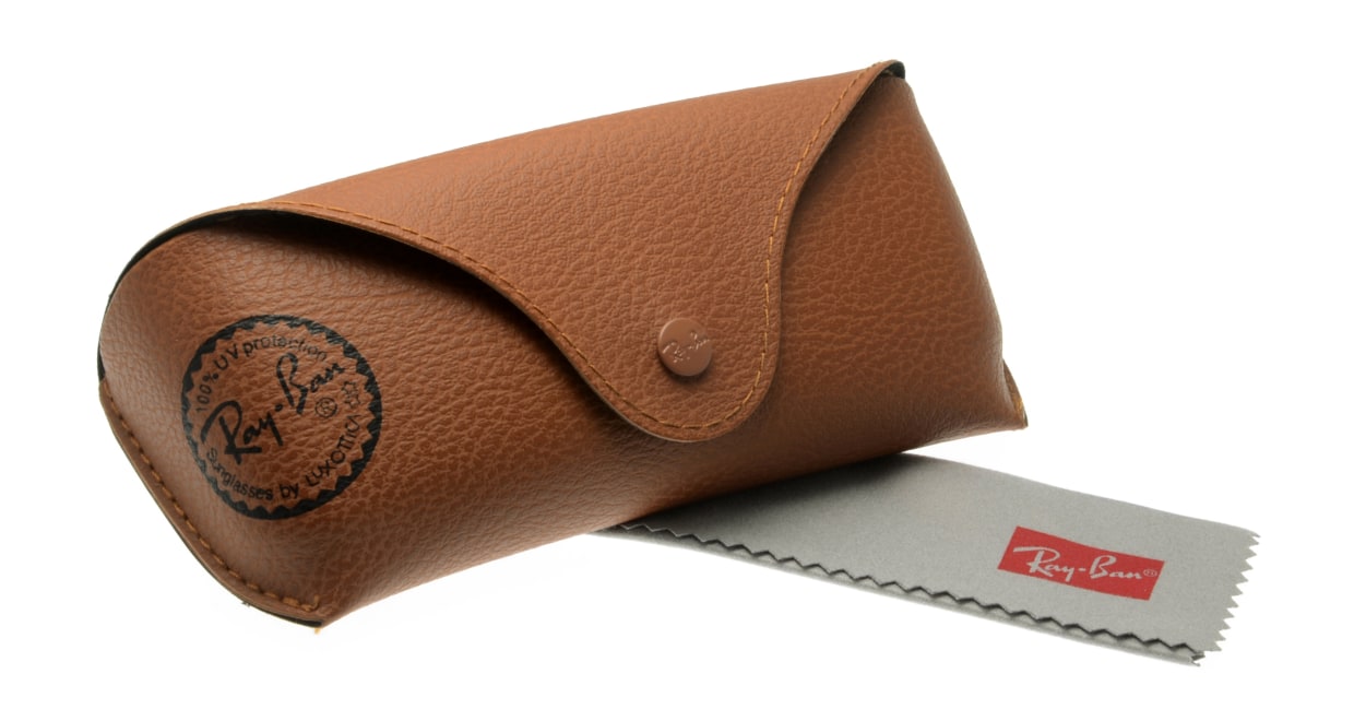 レイバン ERIKA RB4171F-622-8G-54 [ウェリントン]  5