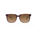 TYPE Eurostile Light-Tortoise Sunglasses（べっ甲）