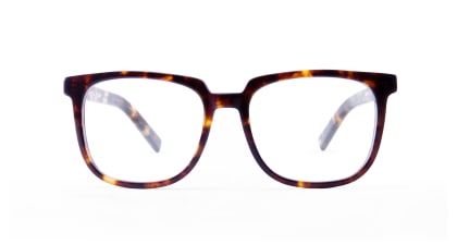 TYPE Eurostile Regular-Tortoise