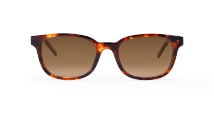 TYPE Univers Regular-Tortoise Sunglasses
