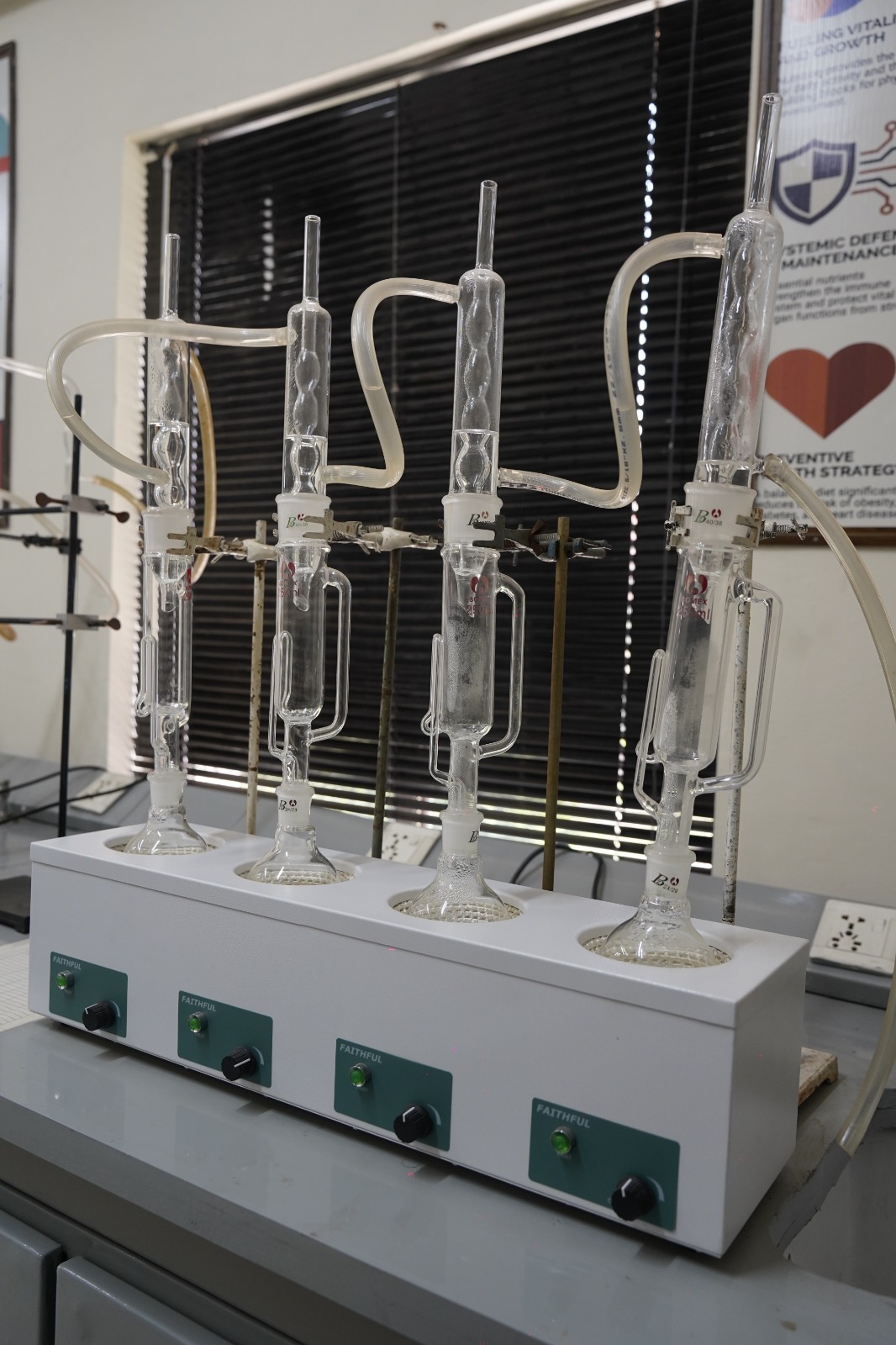 Department of Allied Health and Molecular Sciences
