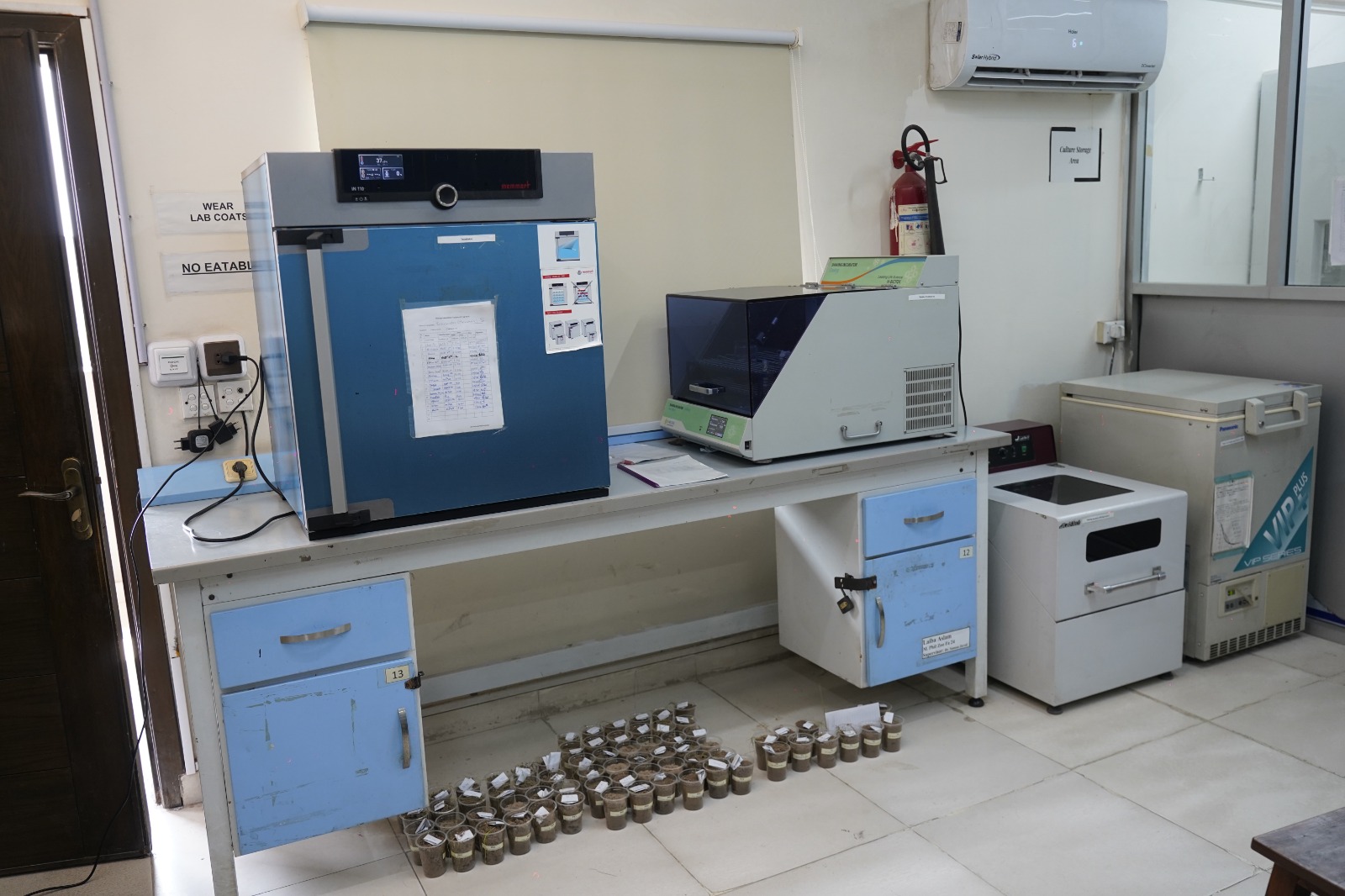 Department of Allied Health and Molecular Sciences