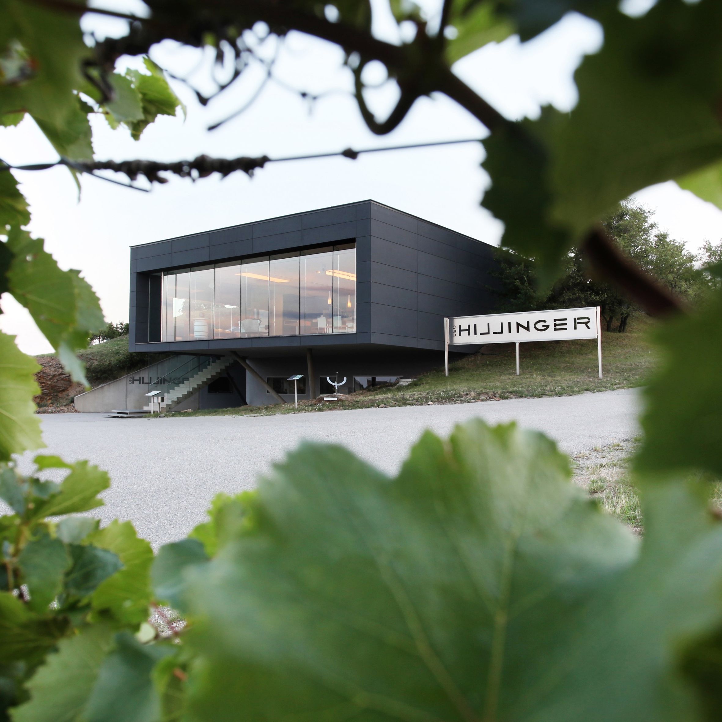 Weingut Leo HILLINGER Weingut Leo HILLINGER