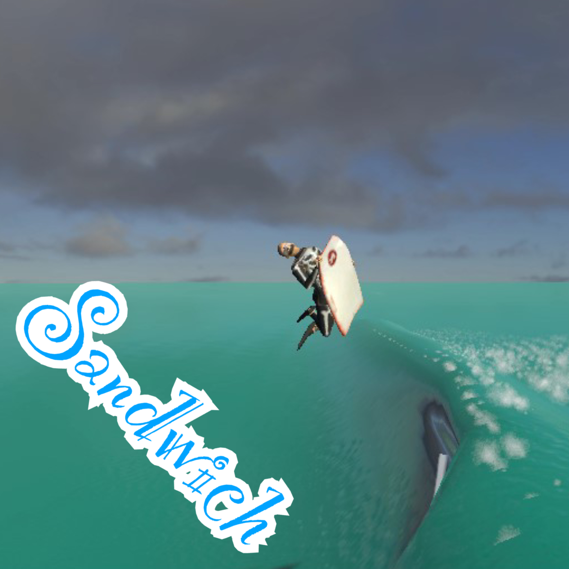 YouRiding Surfing and Bodyboarding Game on Omnislash