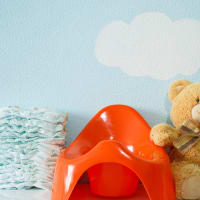 experts-tips-on-potty-training