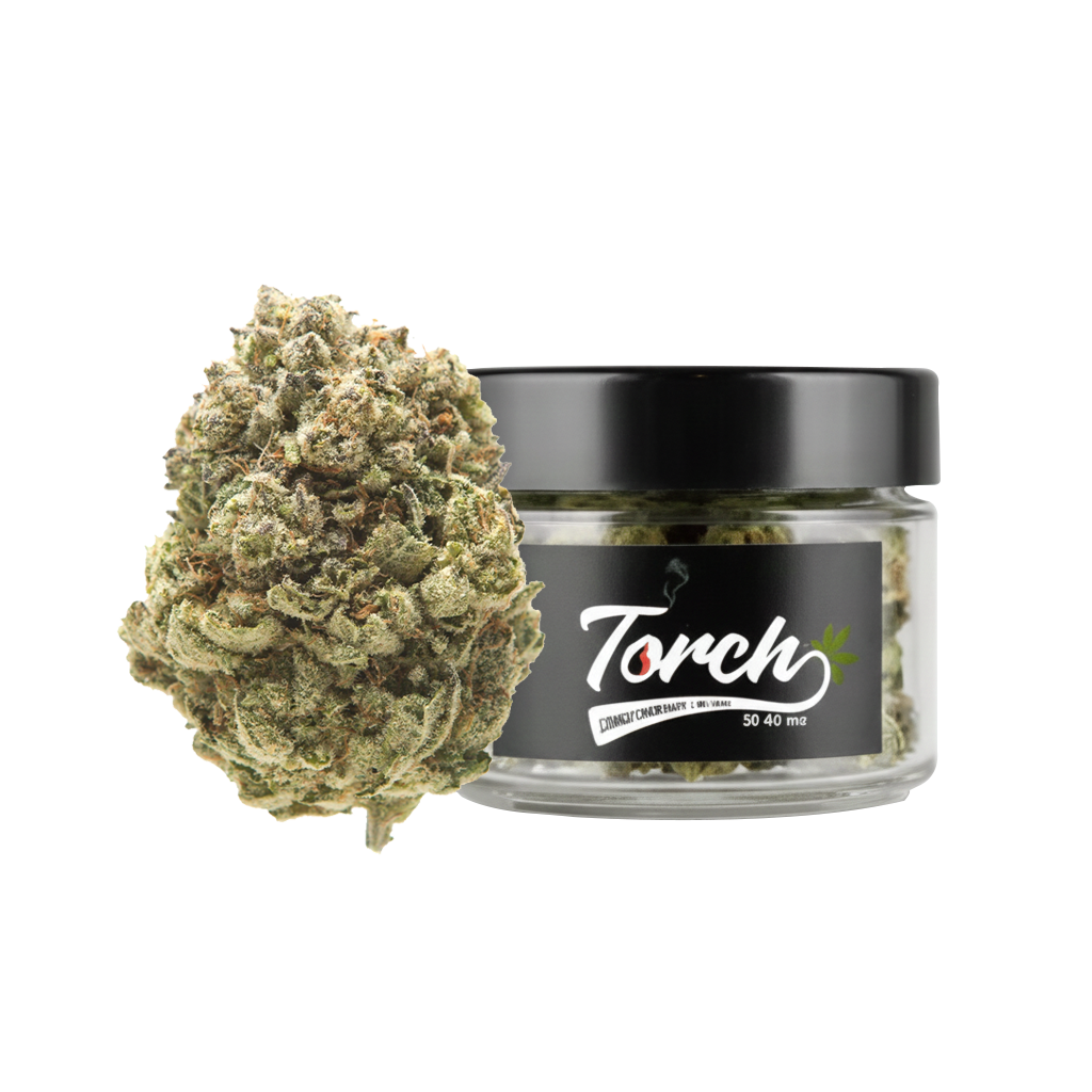 God’s Gift (Indica)