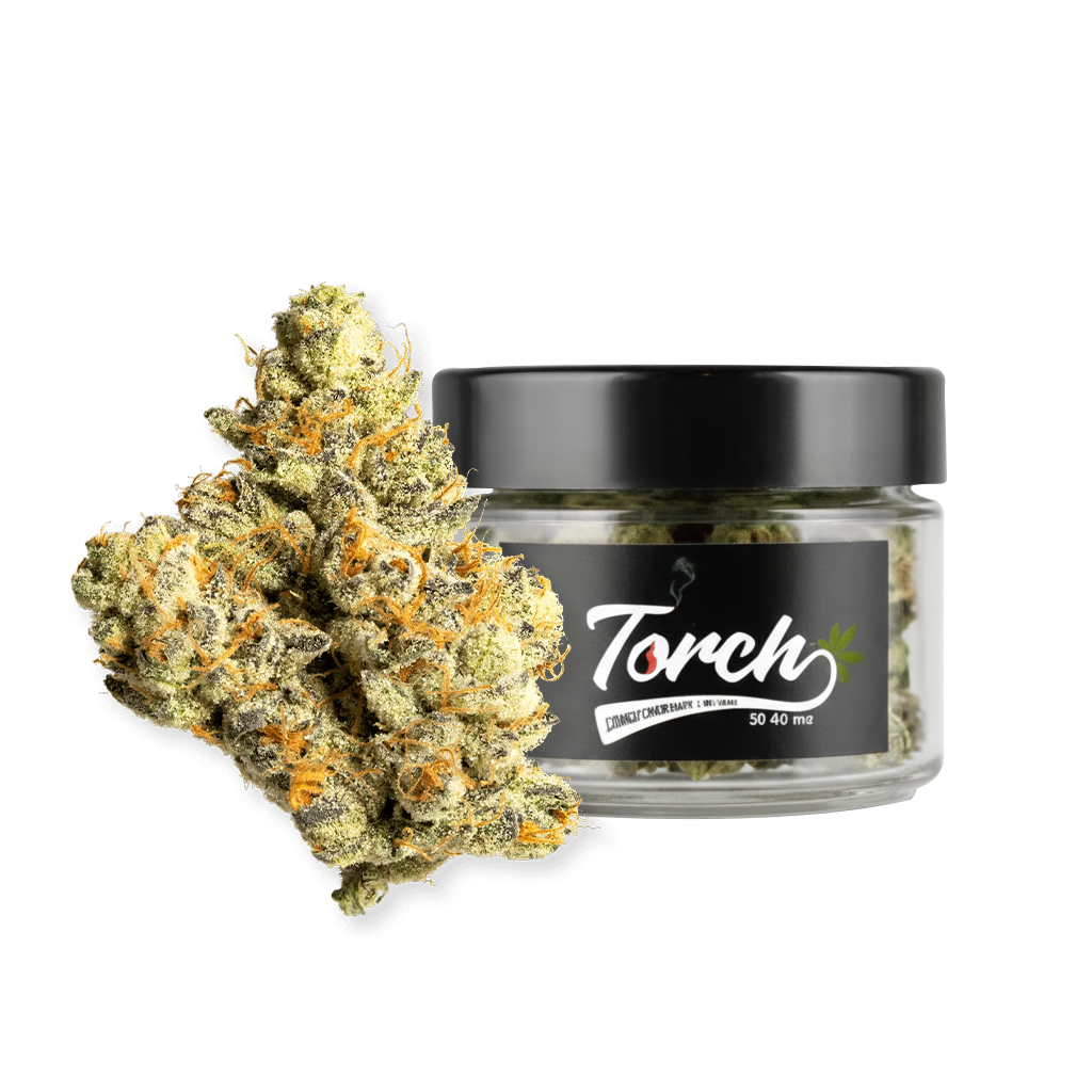 GMO (Indica)