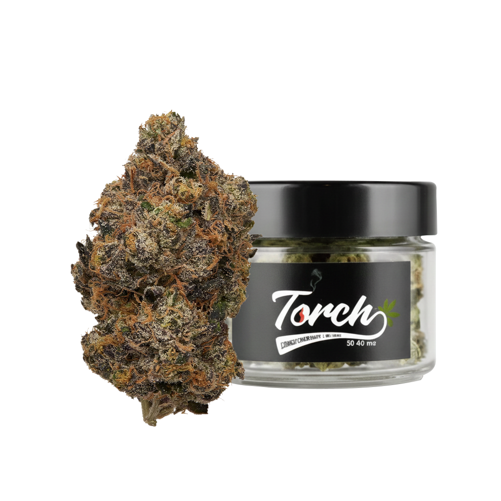 Sunset Sherbet (Hybrid)