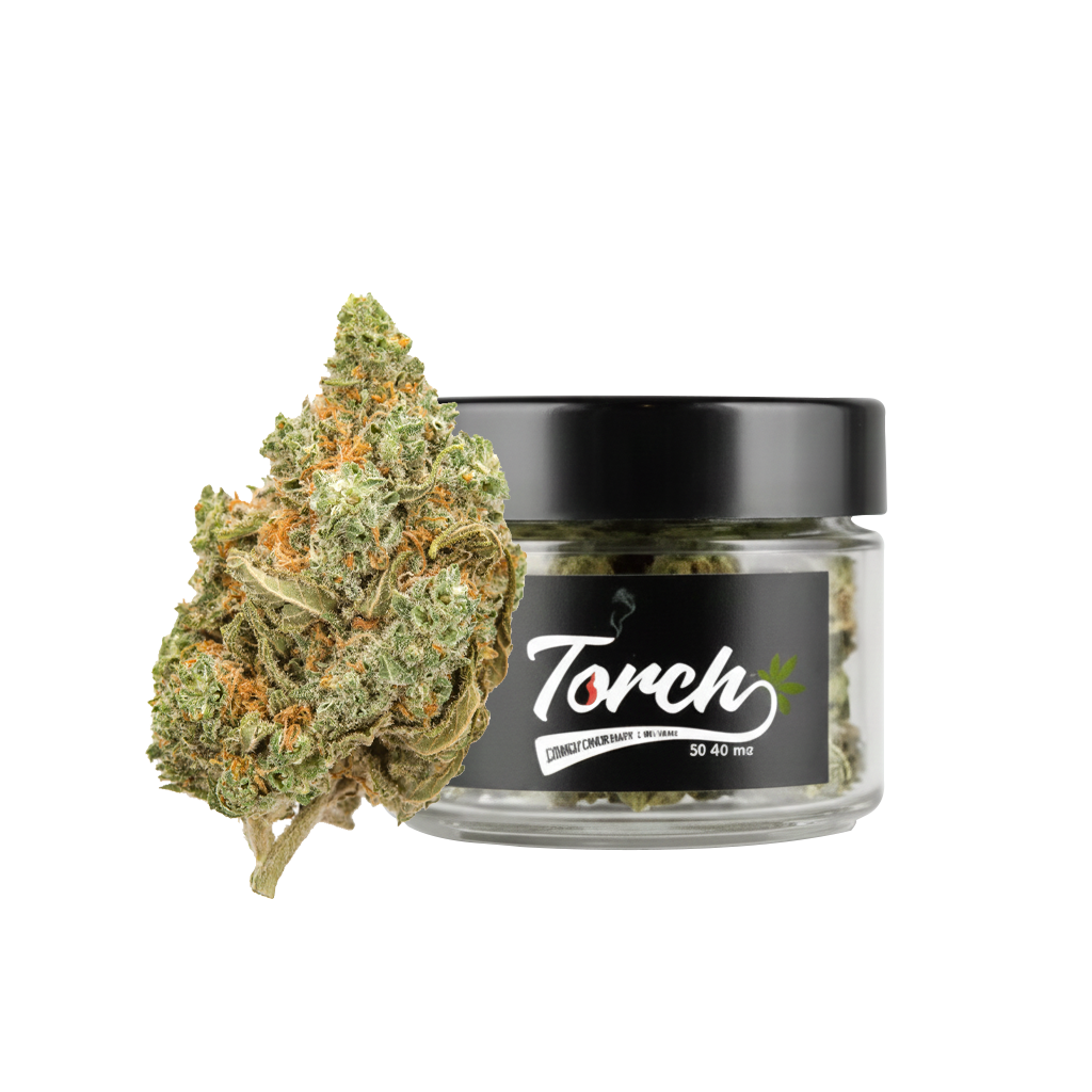 Amnesia Haze (Sativa)