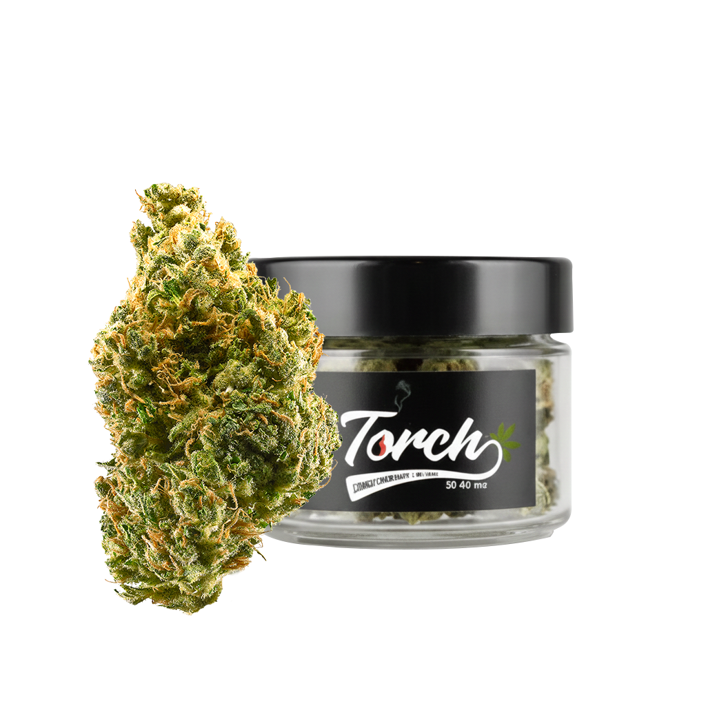 Tangie (Sativa)