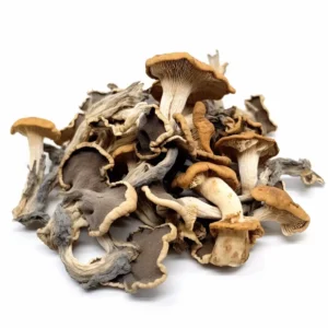 Penis Envy Magic Mushrooms 3.5G