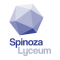 Spinoza Lyceum