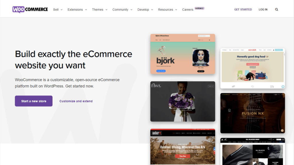 WooCommerce Introduction@2x
