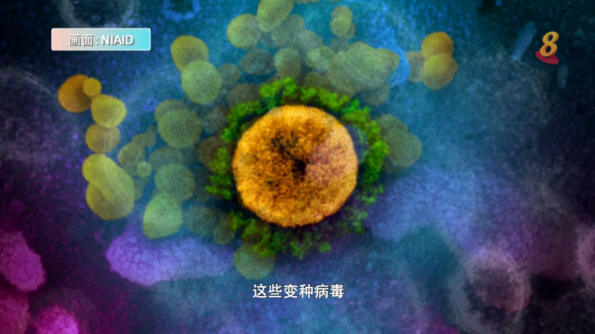 焦点 面对变种病毒现有疫苗是否仍有效 8world 焦点 面对变种病毒现有疫苗是否仍有效 8world