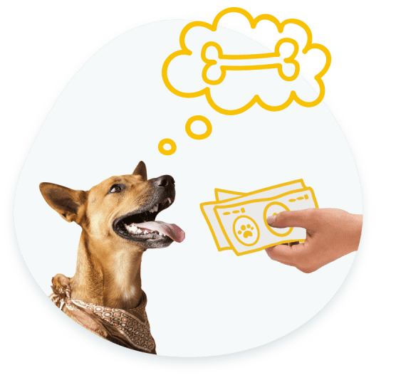 getting paid for pet insurance is easy