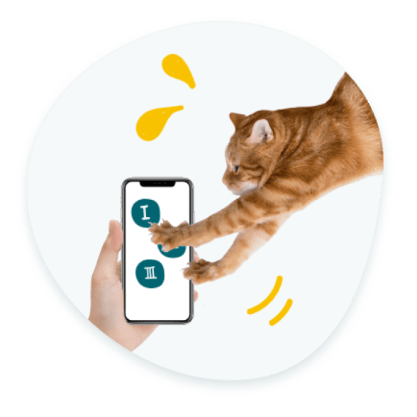 choose a pet insurance plan for your cat on the phone