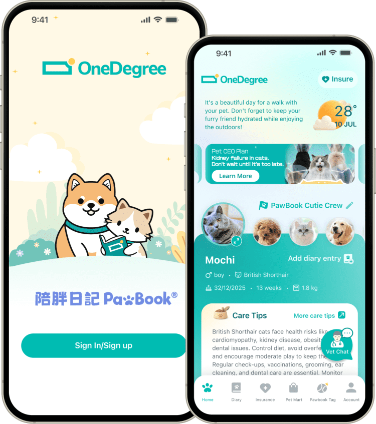 OneDegree HK