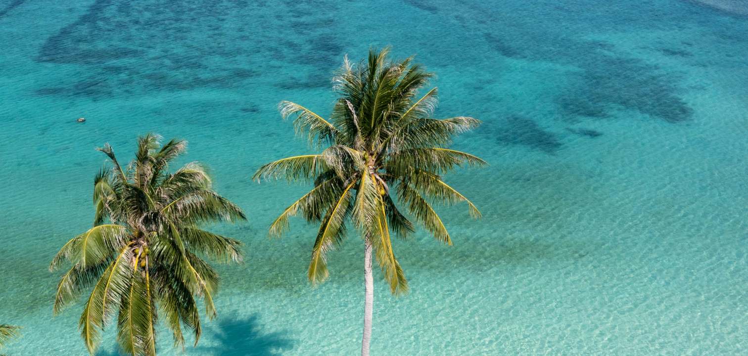 Luxury *Grace Bay* villa rentals