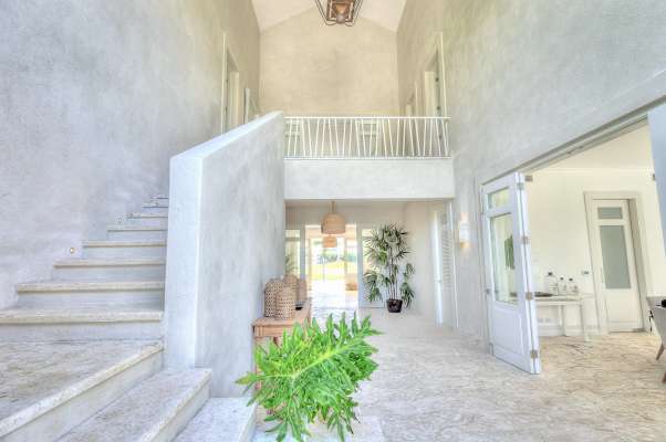 8f3d7099-1369-4bd5-b073-530818ce3410