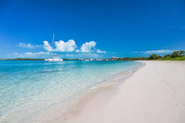 93d52c31-9ea8-4385-909c-dea15d335aed