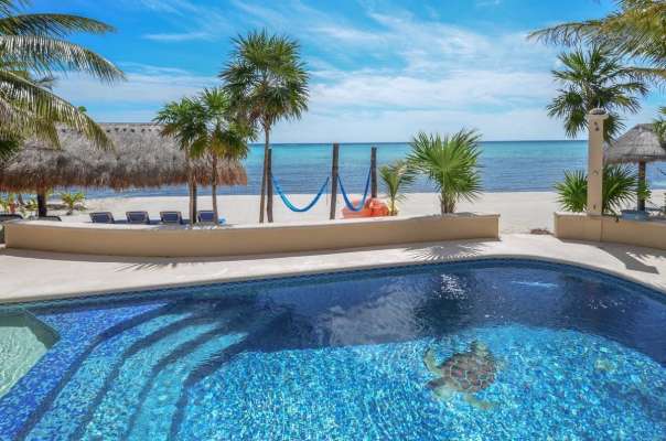 b5b63267-92cf-43c1-983b-098531092db2