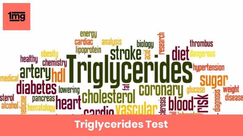Triglycerides