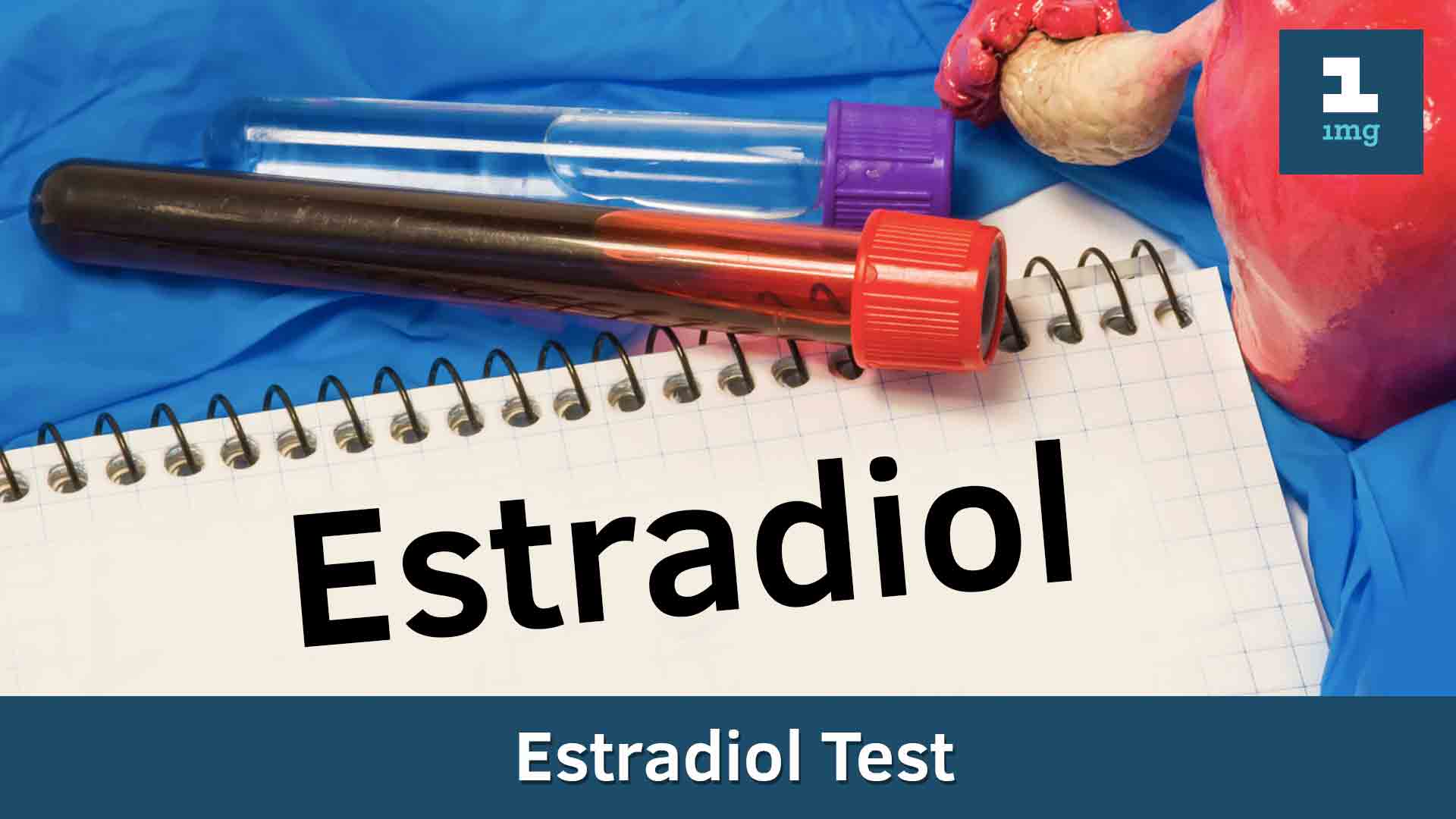 Estradiol