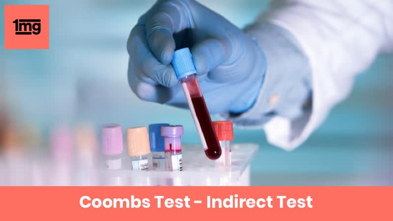 Coombs Test - Indirect