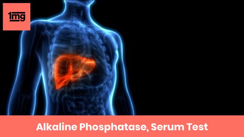 Alkaline Phosphatase, Serum