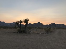 https://res.cloudinary.com/onepage/image/upload/v1614539334/user_21593/whkgyjn5714joqpm07di.jpg