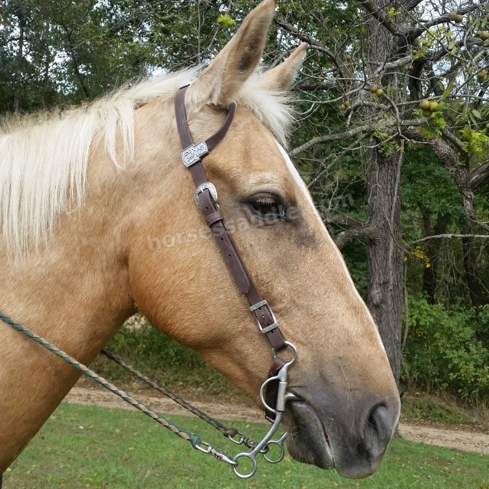 Western Horse Bridles for Sale 40 Off on Bridles