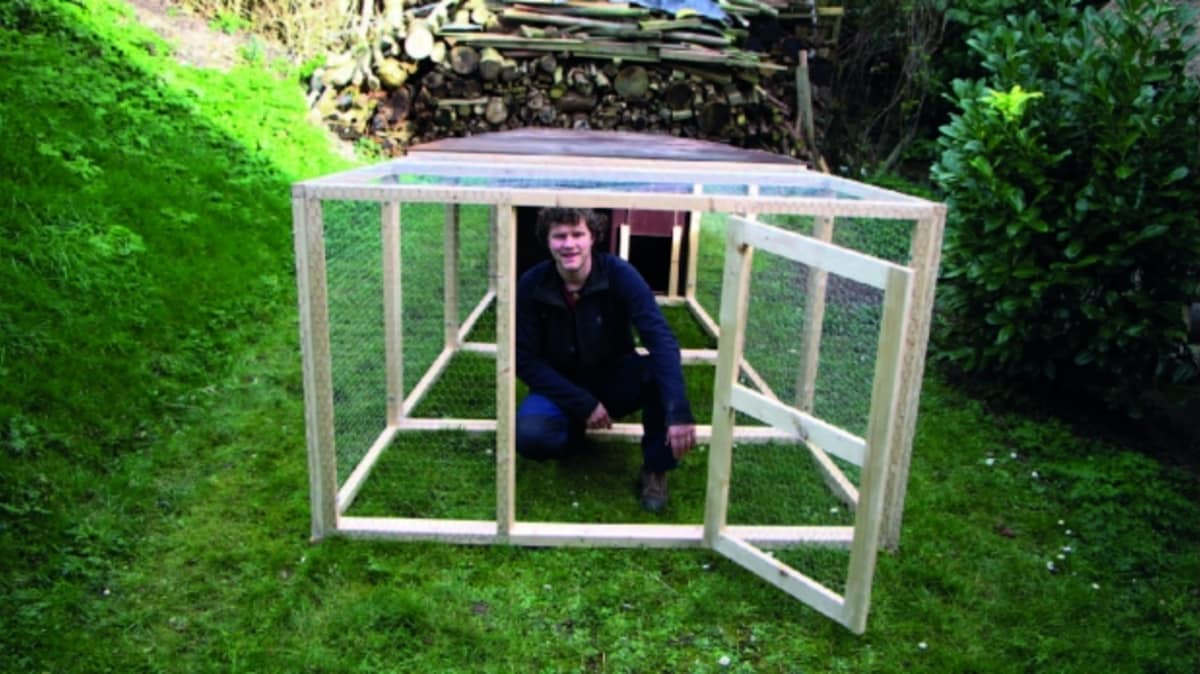 Hoe Groot Moet Het Nachthok Zijn Kippenforumnl