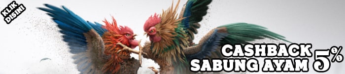 Bonus Cashback Sabung Ayam