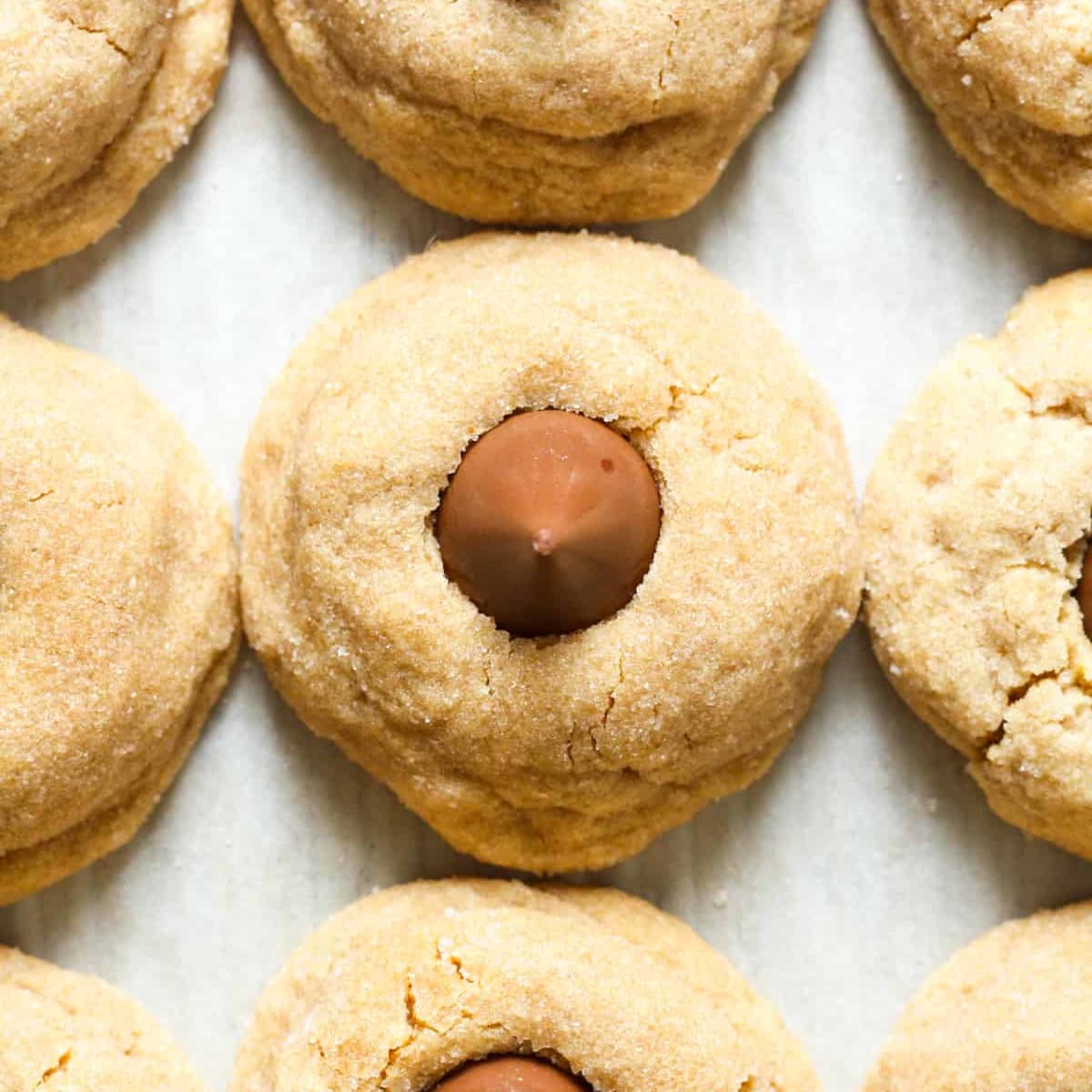 Gluten Free Peanut Butter Blossoms