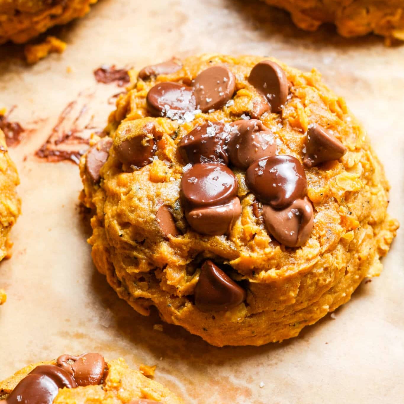 Pumpkin Oatmeal Chocolate Chip Cookies